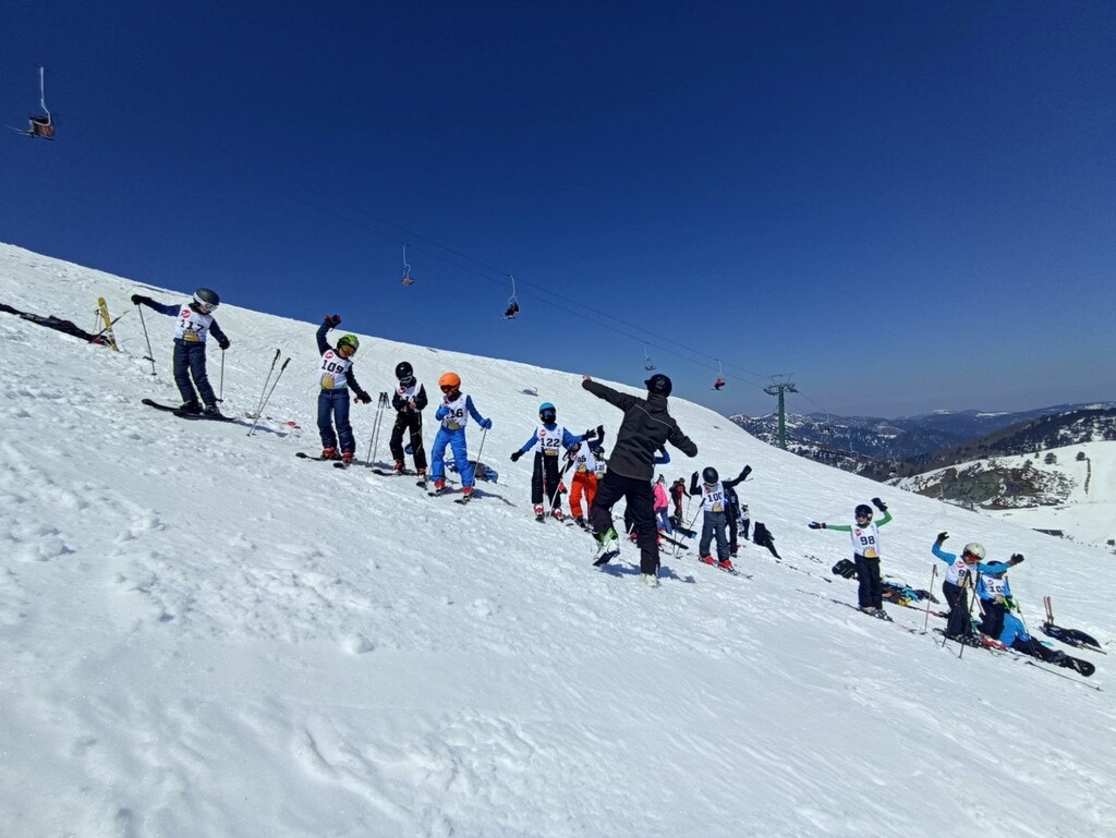 Ski Alpis 3
