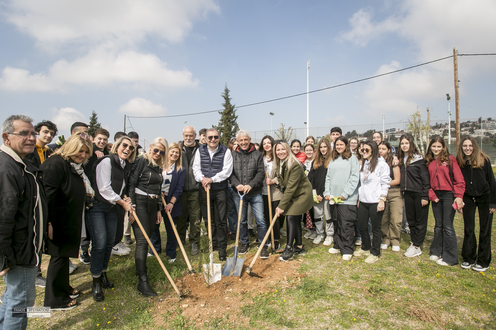 tree planting Panorama 6