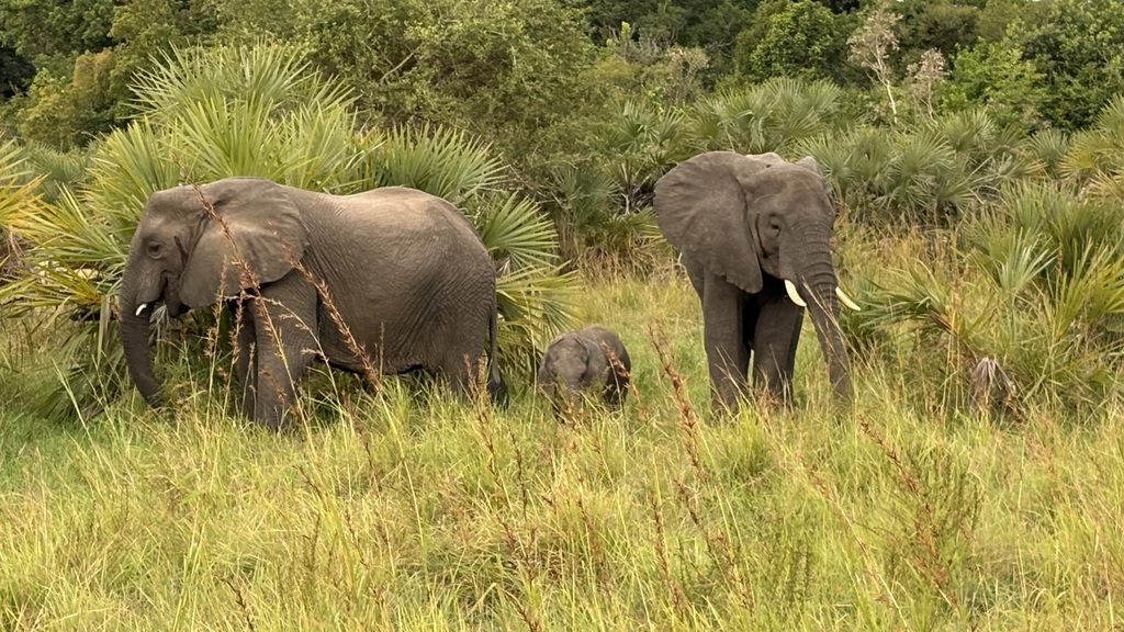 STEM in Tanzania 7